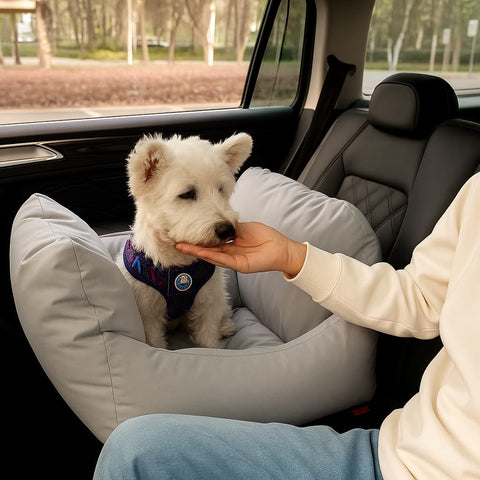 Asiento Primera Clase THE DOGS — Viajes seguros y cómodos