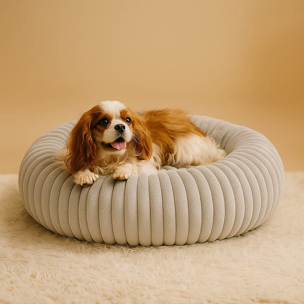 Luxury Edition: Cama Anti-Estrés THE DOGS