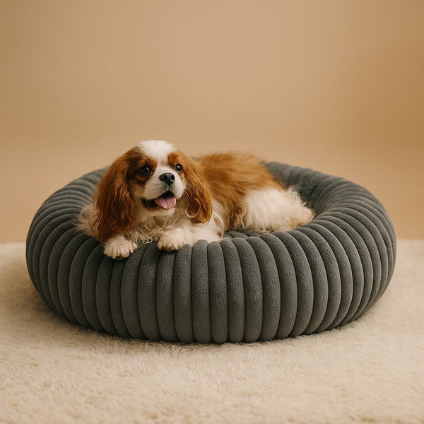 Luxury Edition: Cama Anti-Estrés THE DOGS