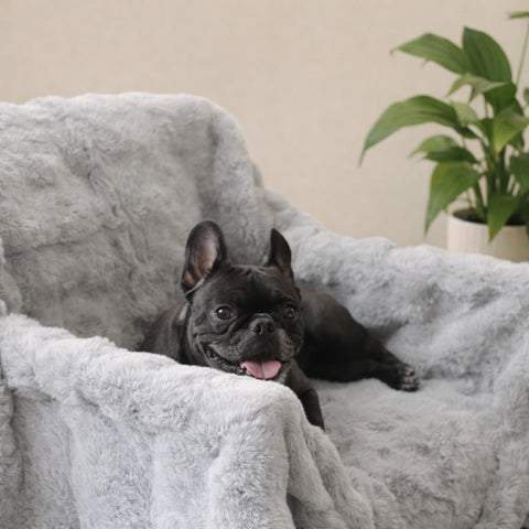 Cubre Sofá Piel de Conejo — Lujo suave que protege tu sofá.