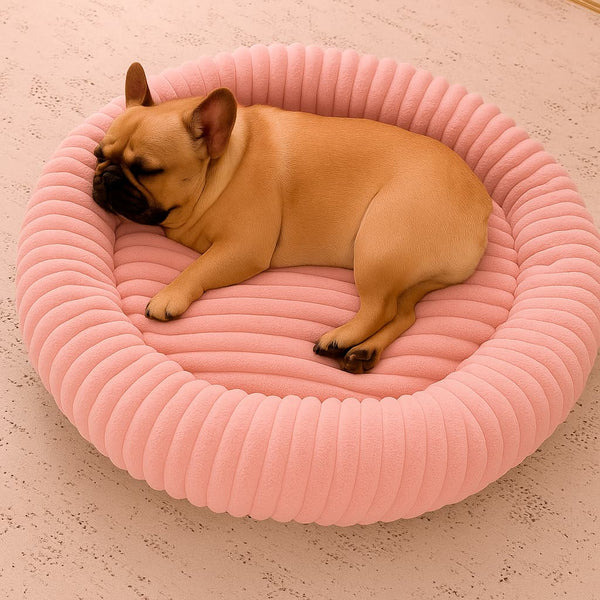 Luxury Edition: Cama Anti-Estrés THE DOGS