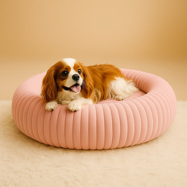 Luxury Edition: Cama Anti-Estrés THE DOGS