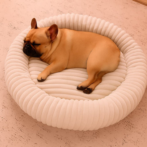 Luxury Edition: Cama Anti-Estrés THE DOGS