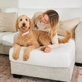 Funda mágica cubre sofa - THE DOGS CHILE