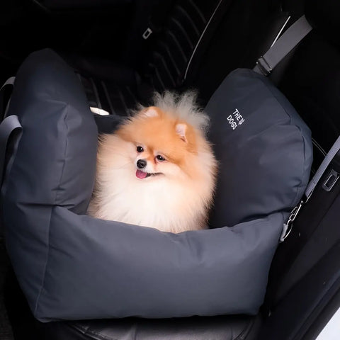 Asiento Primera Clase THE DOGS — Viajes seguros y cómodos