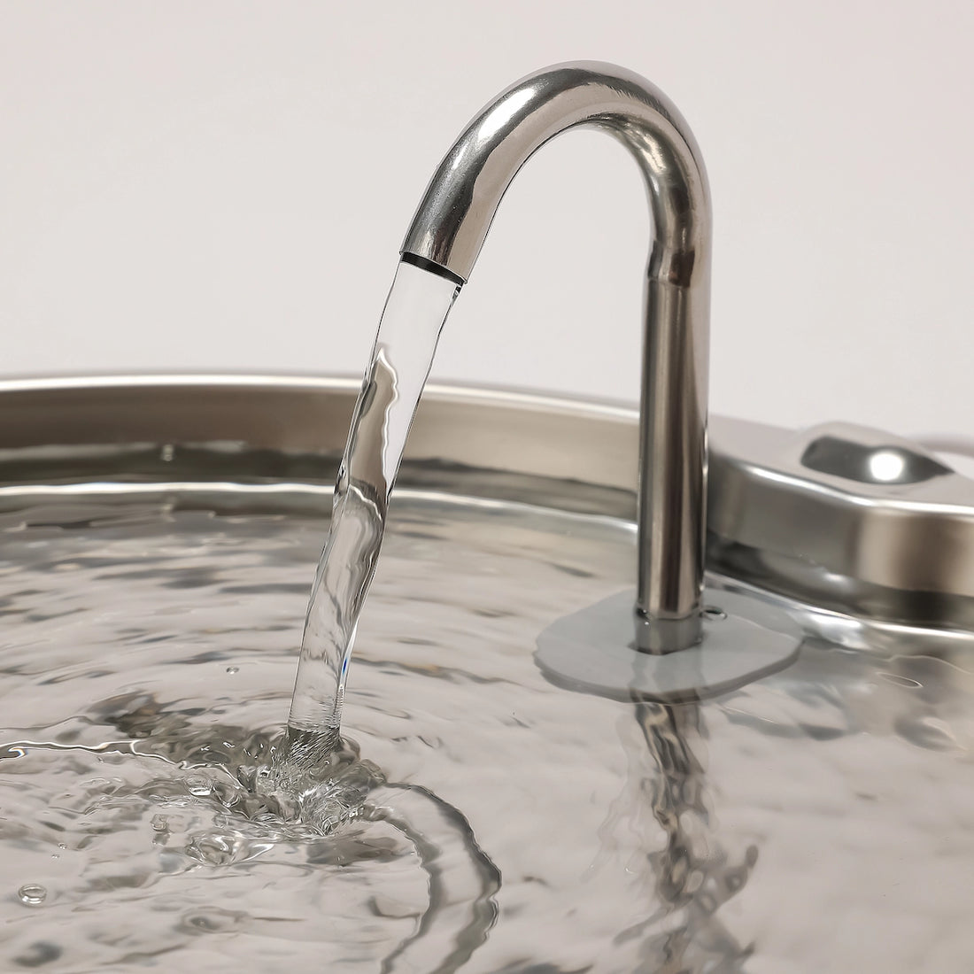 Aquaflow THE DOGS — Agua siempre limpia y fresca