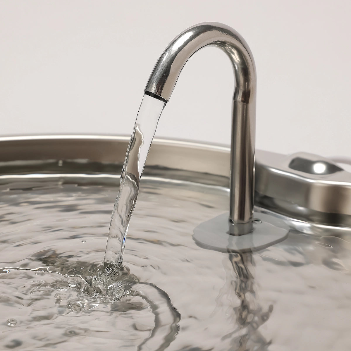Aquaflow THE DOGS — Agua siempre limpia y fresca