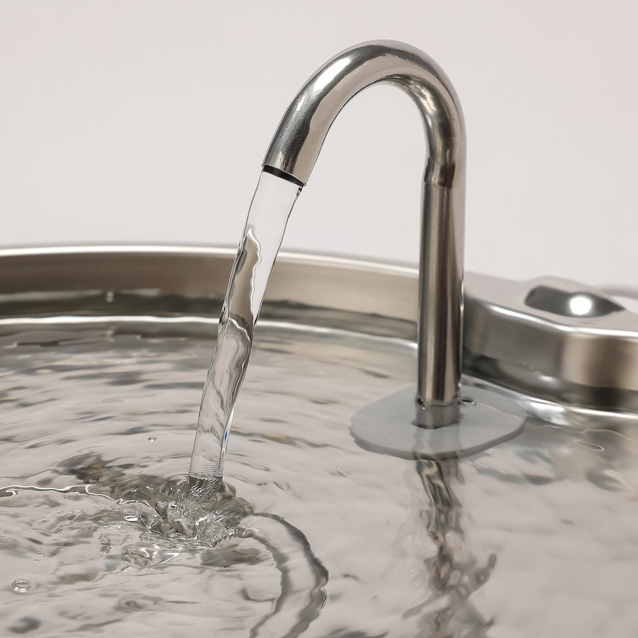 Fuente AquaFlow THE DOGS en uso