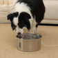 Aquaflow THE DOGS — Agua siempre limpia y fresca