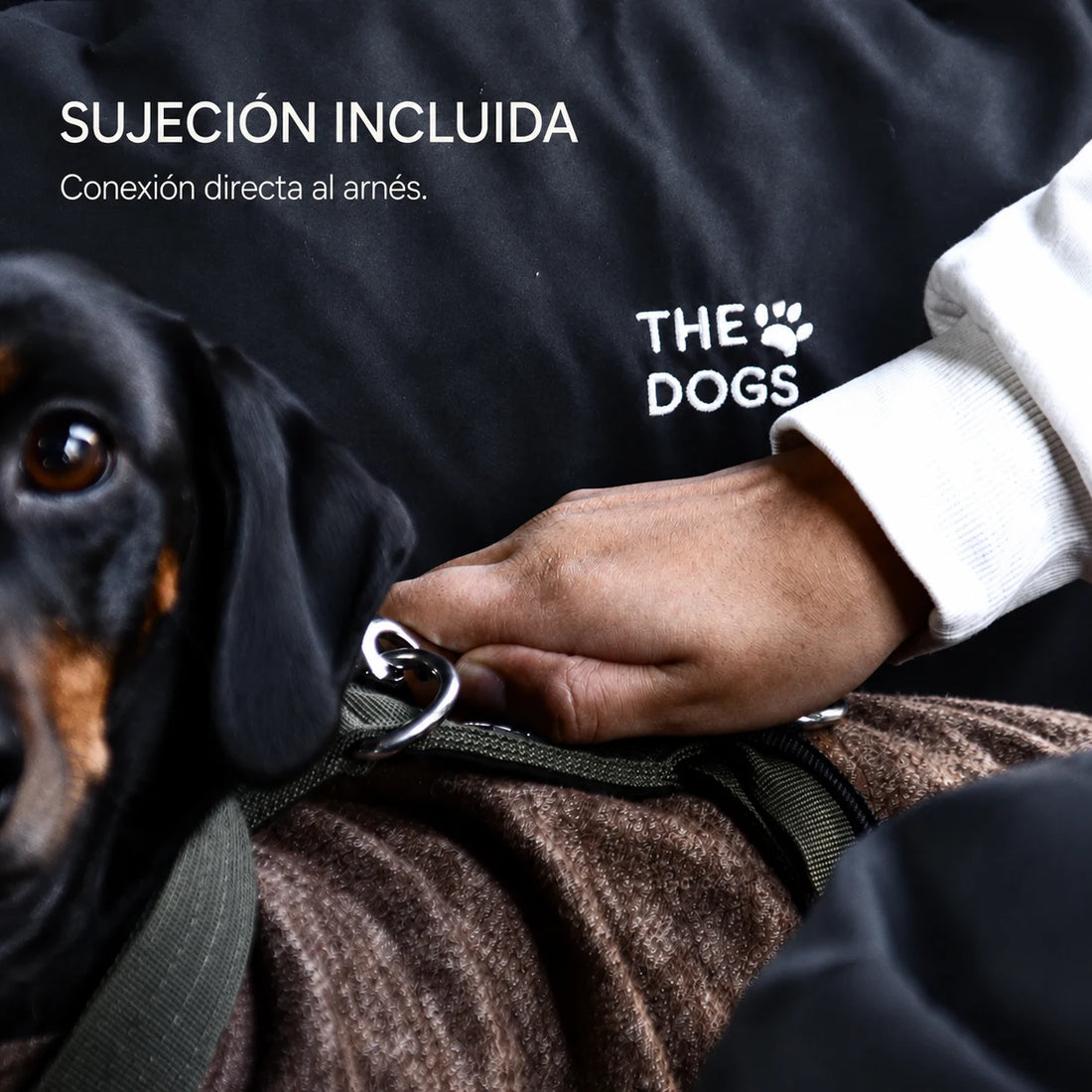 Asiento Primera Clase THE DOGS — Viajes seguros y cómodos