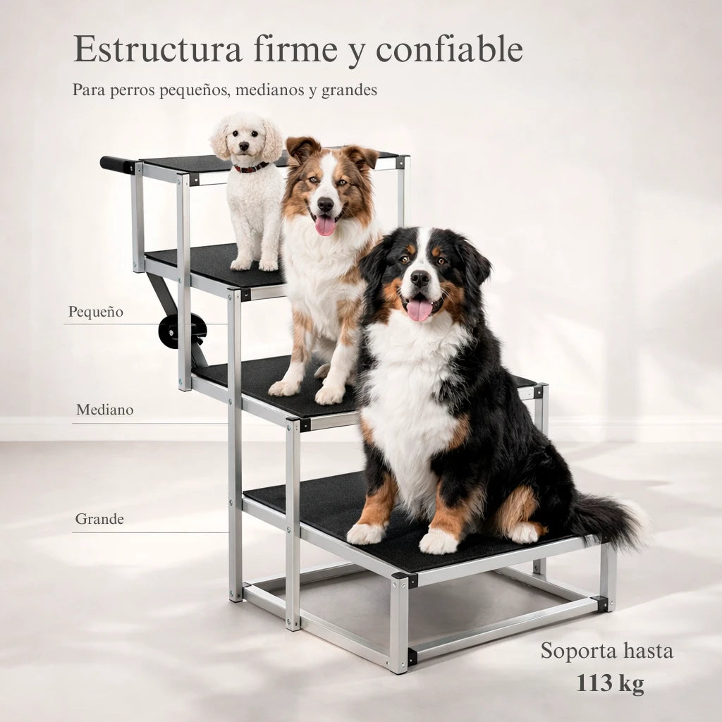 Escalera/Rampa Plegable para Auto