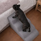 Rampa Pendiente Suave THE DOGS