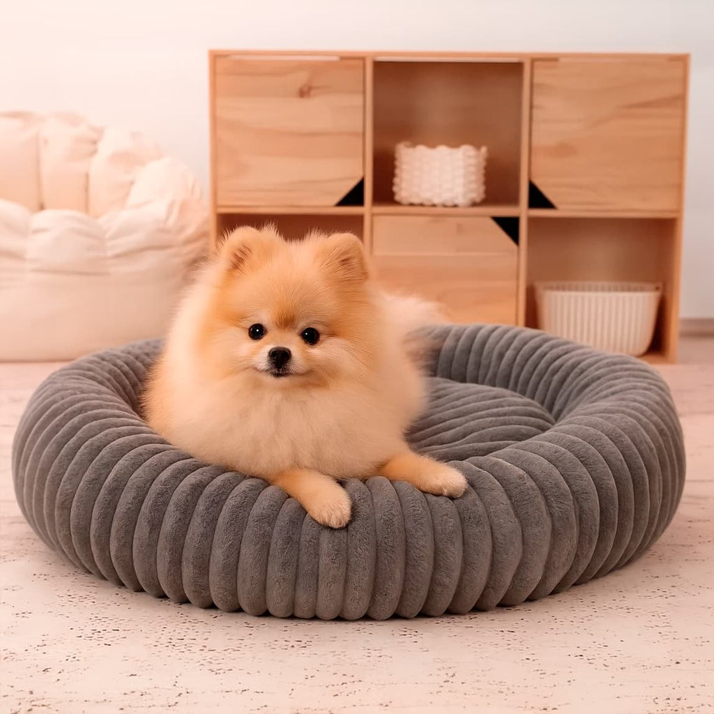 Luxury Edition: Cama Anti-Estrés THE DOGS