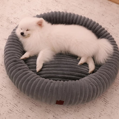 Luxury Edition: Cama Anti-Estrés THE DOGS