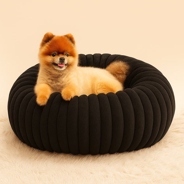 Luxury Edition: Cama Anti-Estrés THE DOGS