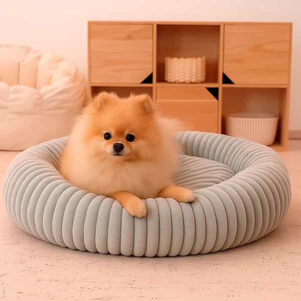 Luxury Edition: Cama Anti-Estrés THE DOGS