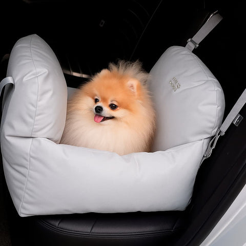 Asiento Primera Clase THE DOGS — Viajes seguros y cómodos