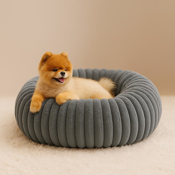 Luxury Edition: Cama Anti-Estrés THE DOGS