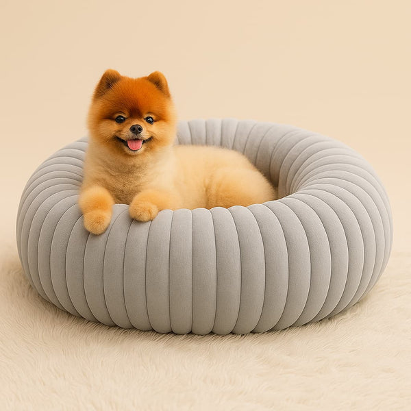 Luxury Edition: Cama Anti-Estrés THE DOGS