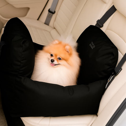 Asiento Primera Clase THE DOGS — Viajes seguros y cómodos