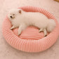 Luxury Edition: Cama Anti-Estrés THE DOGS