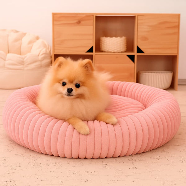 Luxury Edition: Cama Anti-Estrés THE DOGS