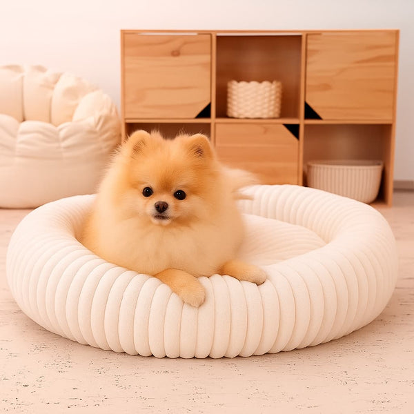 Luxury Edition: Cama Anti-Estrés THE DOGS