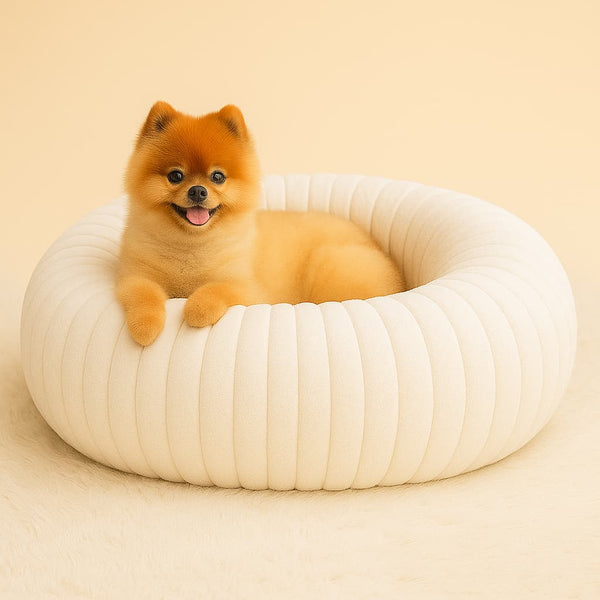 Luxury Edition: Cama Anti-Estrés THE DOGS