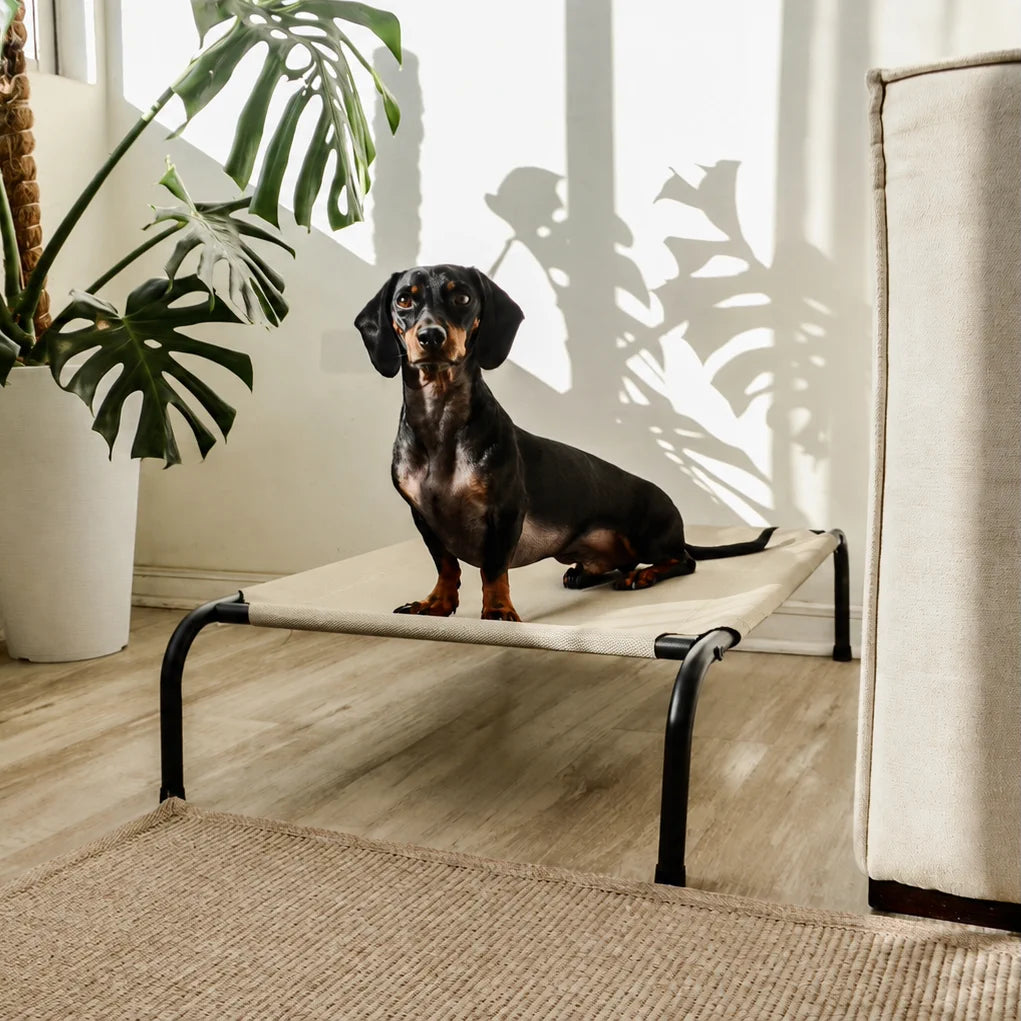 Cama Elevada THE DOGS