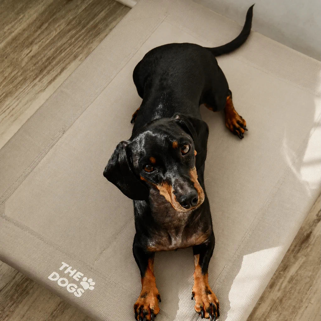 Cama Elevada THE DOGS