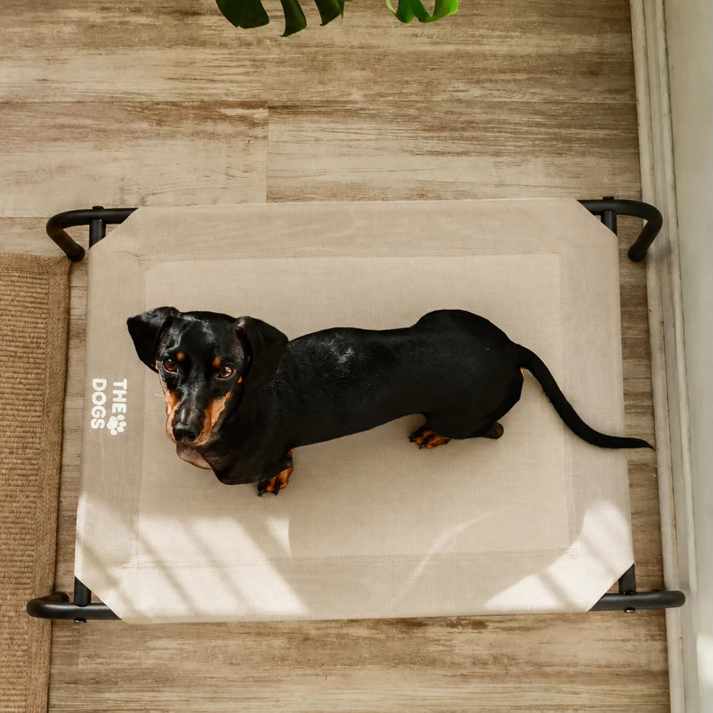 Cama Elevada THE DOGS