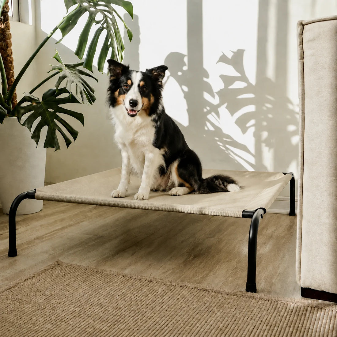 Cama Elevada THE DOGS