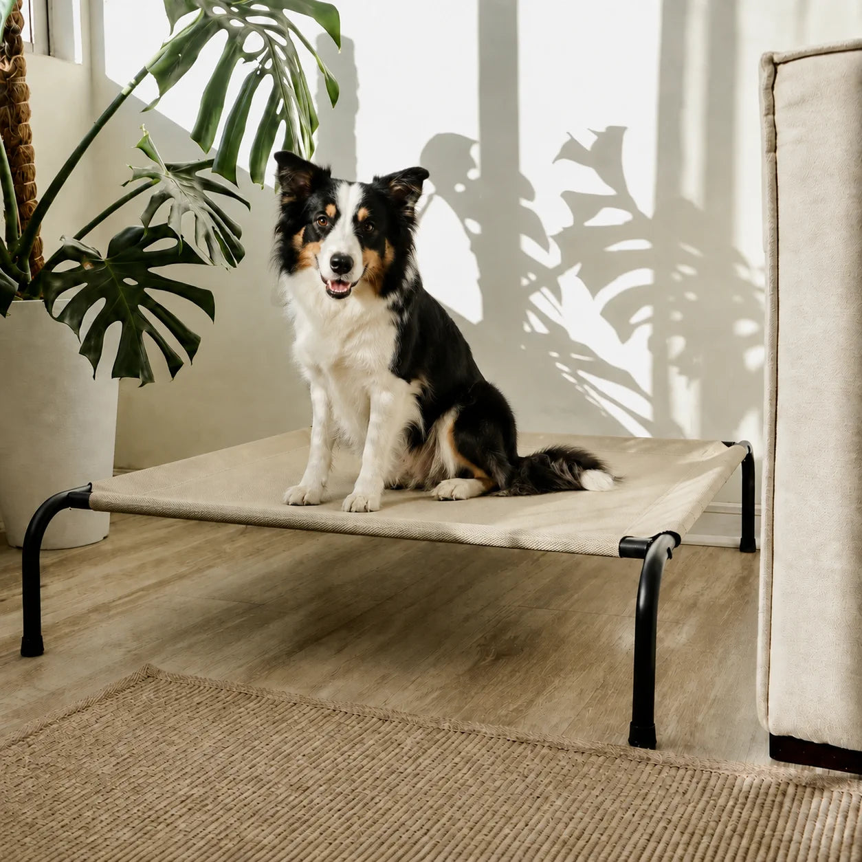 Cama Elevada THE DOGS