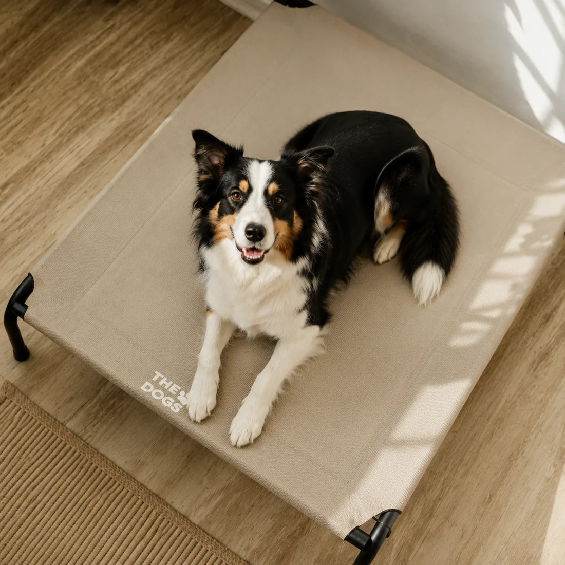 Cama Elevada THE DOGS