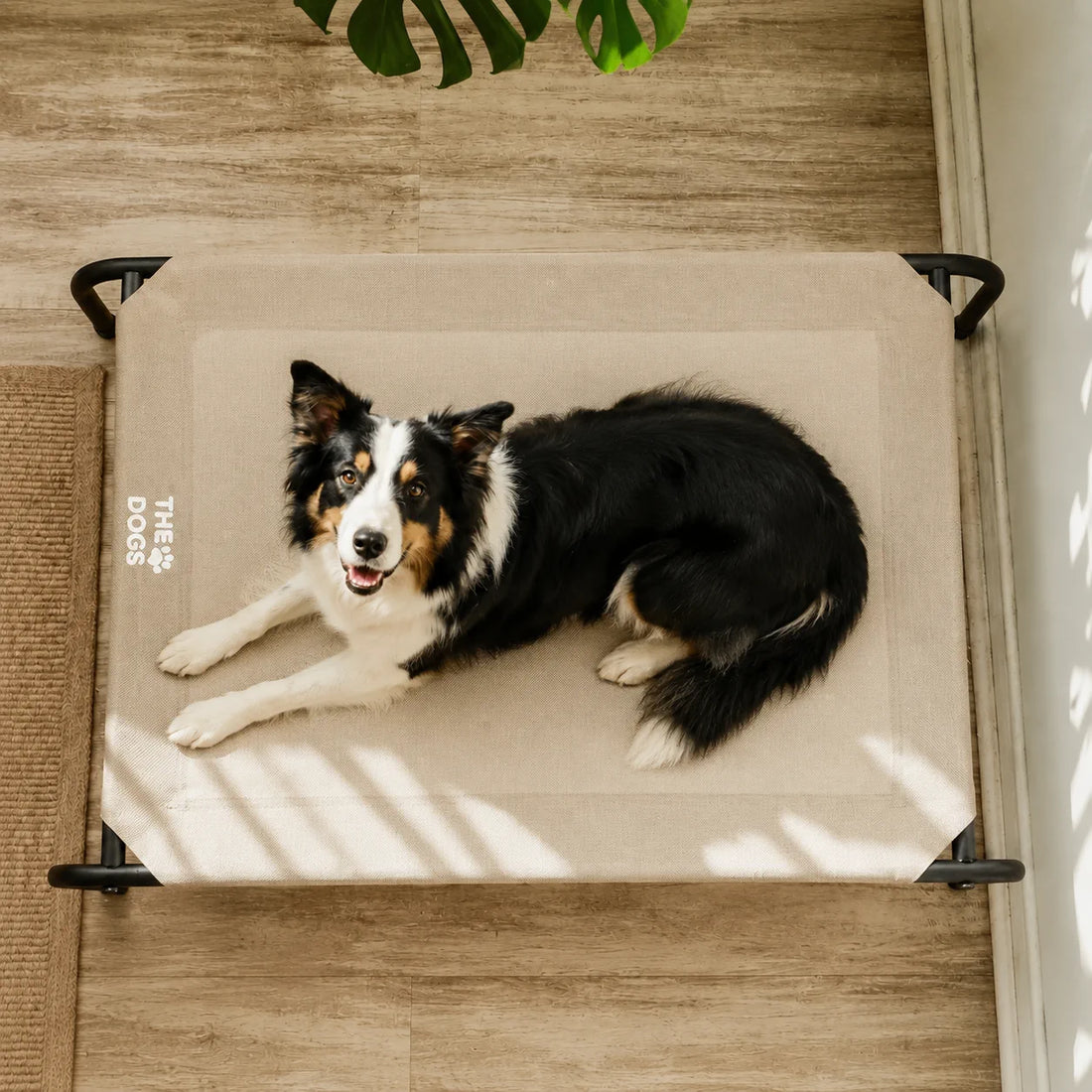 Cama Elevada THE DOGS