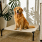 Cama Elevada THE DOGS