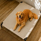 Cama Elevada THE DOGS