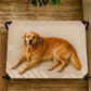 Cama Elevada THE DOGS