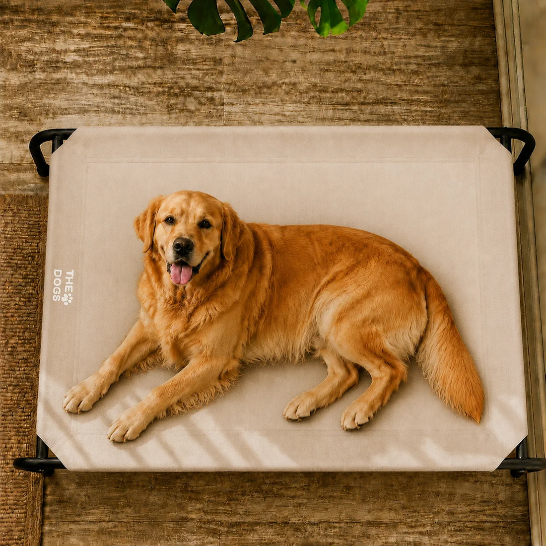 Cama Elevada THE DOGS