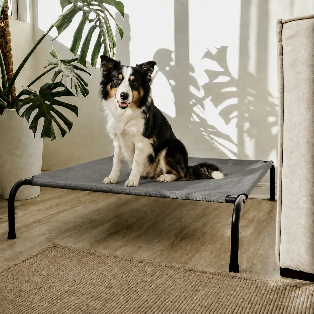 Cama Elevada THE DOGS