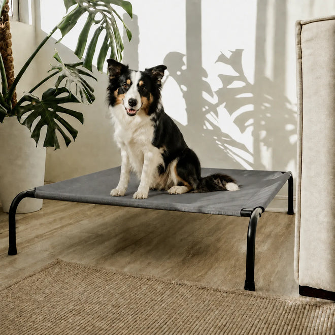 Cama Elevada THE DOGS