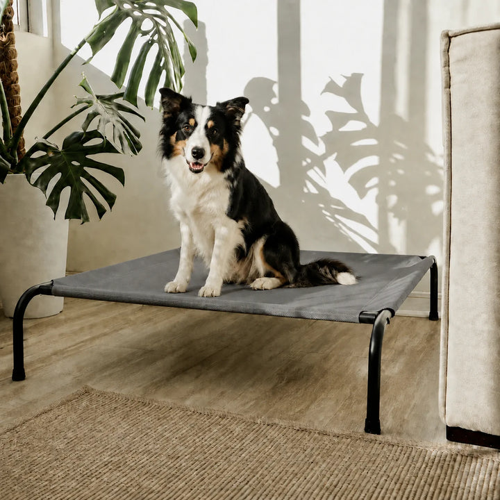 Cama Elevada THE DOGS