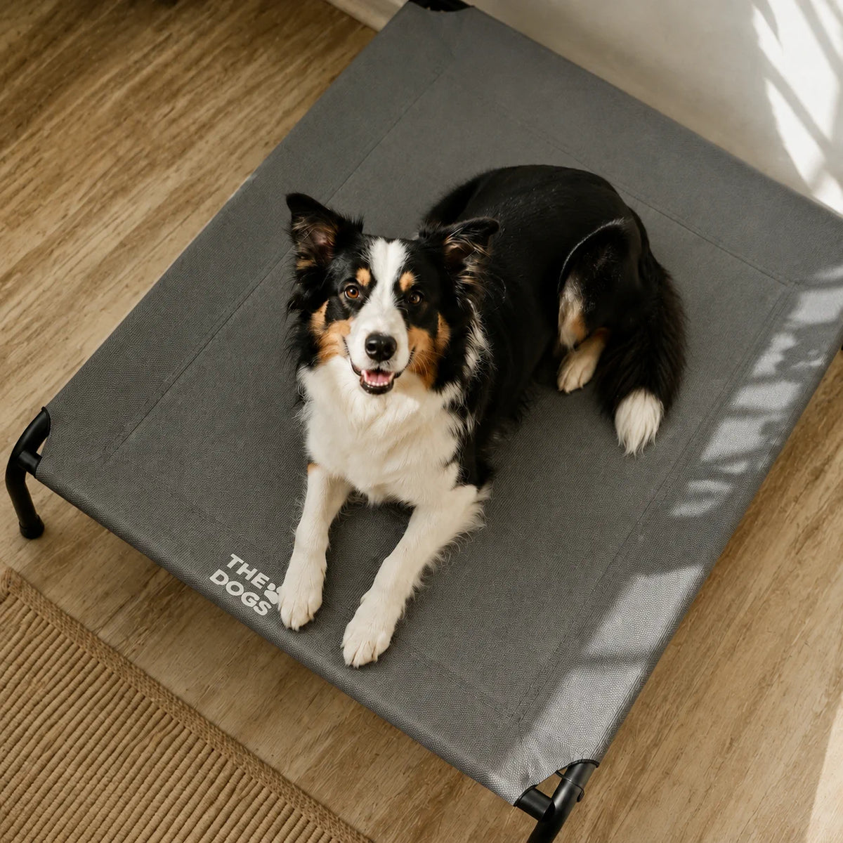 Cama Elevada THE DOGS