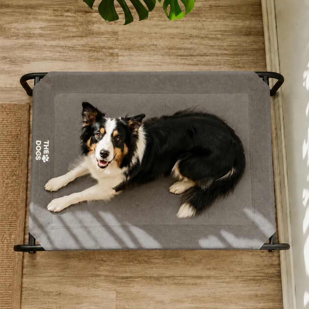 Cama Elevada THE DOGS