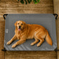 Cama Elevada THE DOGS