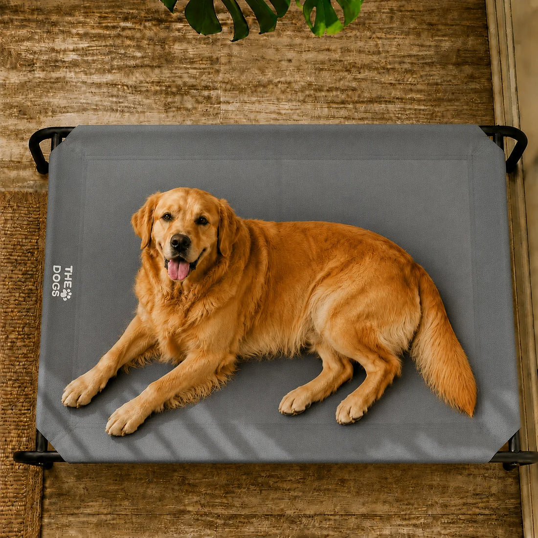 Cama Elevada THE DOGS