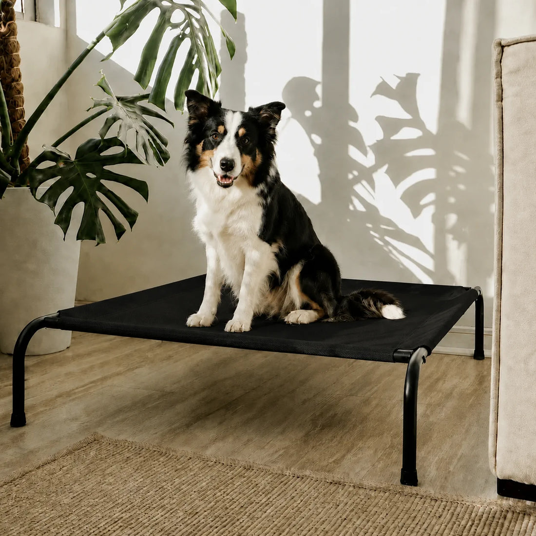 Cama Elevada THE DOGS
