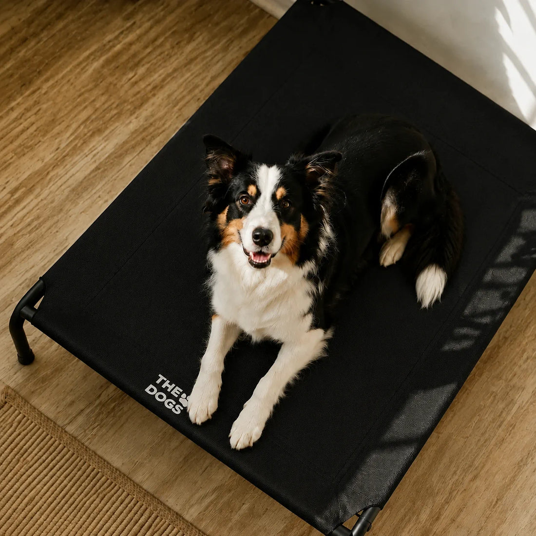 Cama Elevada THE DOGS
