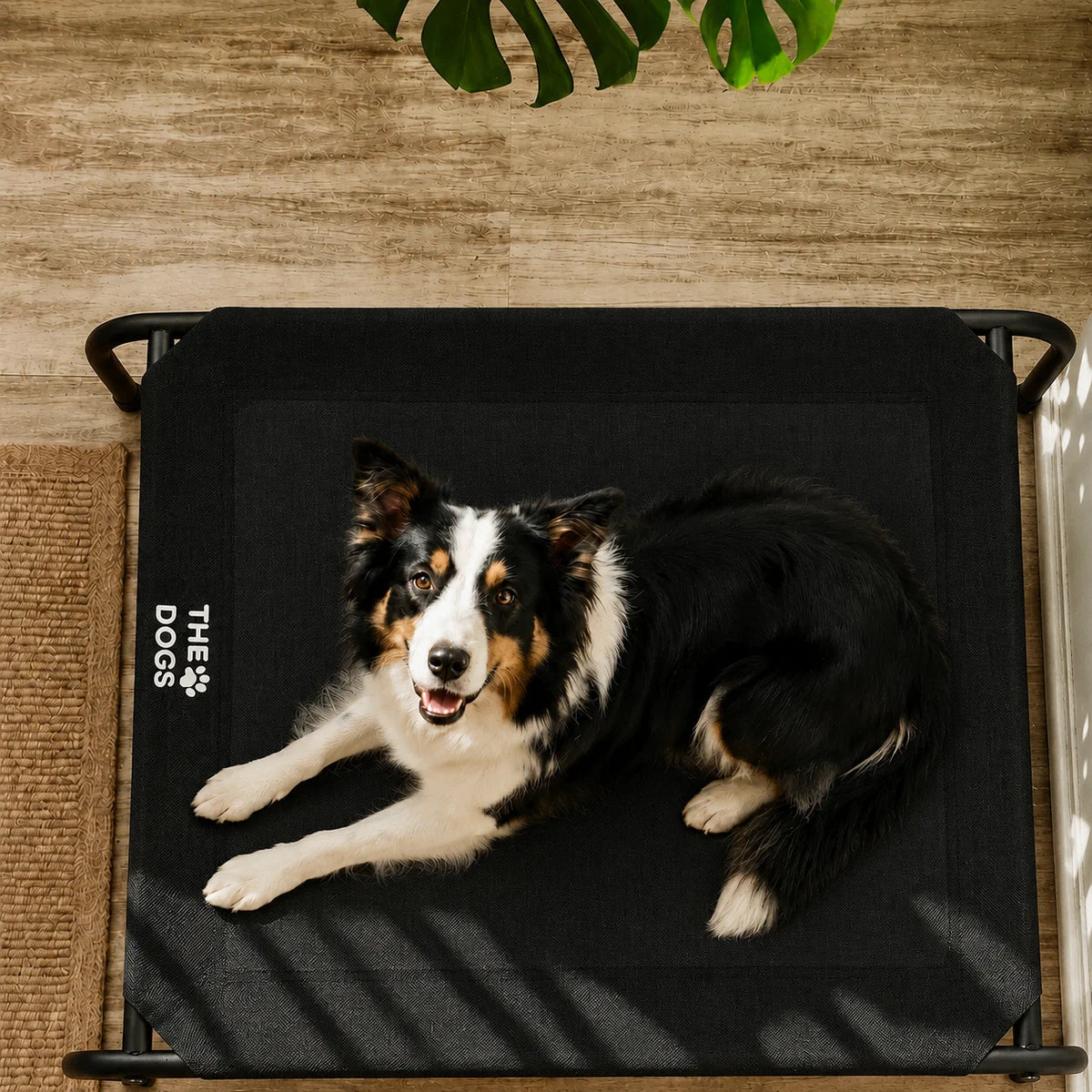 Cama Elevada THE DOGS