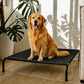 Cama Elevada THE DOGS